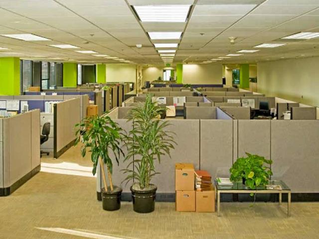 Bố trí văn phòng làm việc theo phong thủy để thuận lợi trong sự nghiệp