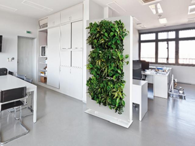 Cách bố trí văn phòng làm việc đẹp tiếp thêm năng lượng